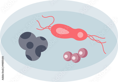 Illustration of a Petri dish with various bacteria cultures, depicting microbiology research.