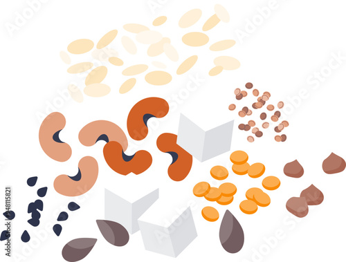 Assorted legumes and seeds symbolizing plant-based protein sources.