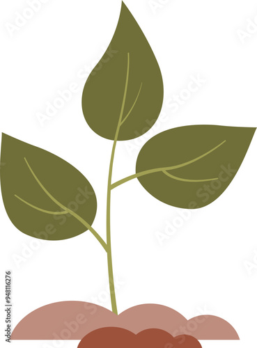 Illustration of a young tree seedling with three green leaves and visible soil, symbolizing growth and new beginnings.