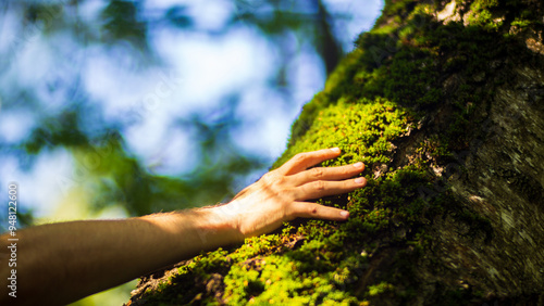 A man's hand touch the tree trunk close-up. Bark wood.Caring for the environment. The ecology concept of saving the world and love nature by human