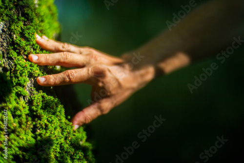 A man's hand touch the tree trunk close-up. Bark wood.Caring for the environment. The ecology concept of saving the world and love nature by human