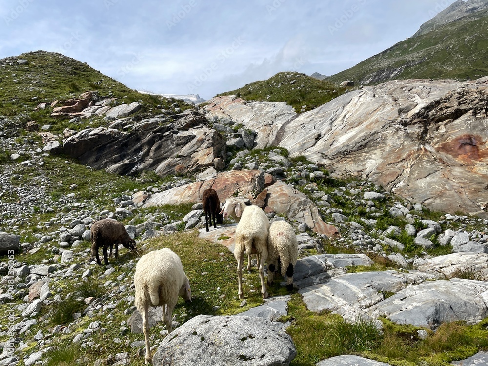 Wanderung Innergschlöß - Felsenkapelle - Schlatenkees - Osttirol