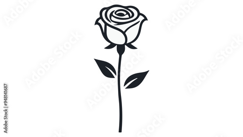simple vector illustration of a rose