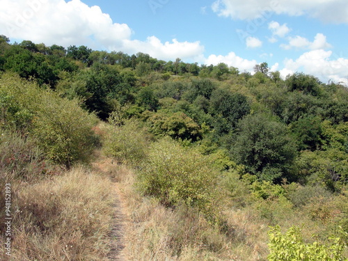 Panorama of the slope of the Dnieper hill covered with a steppe forest against the background of a blue, barely cloudy, sunny sky.