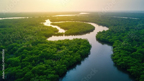 Lush Southeast Asian mangrove forest with winding waterways, natural habitat, no people