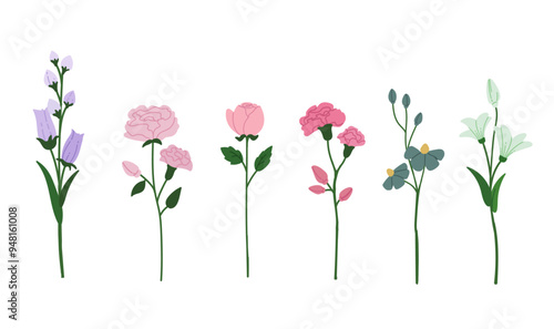 Flowers hand drawn illustration set for decoration. Isolated.