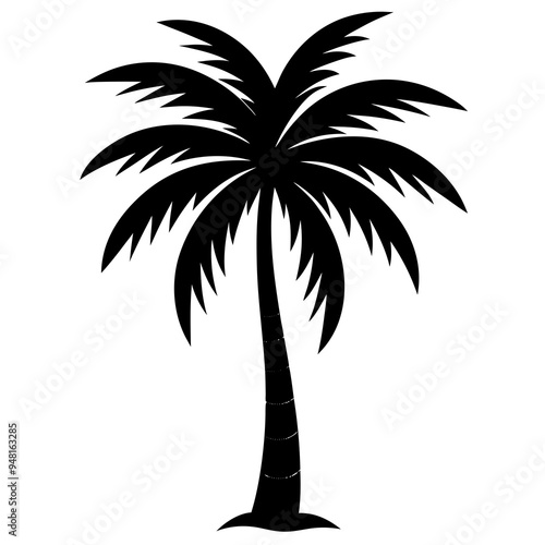 palm tree silhouette