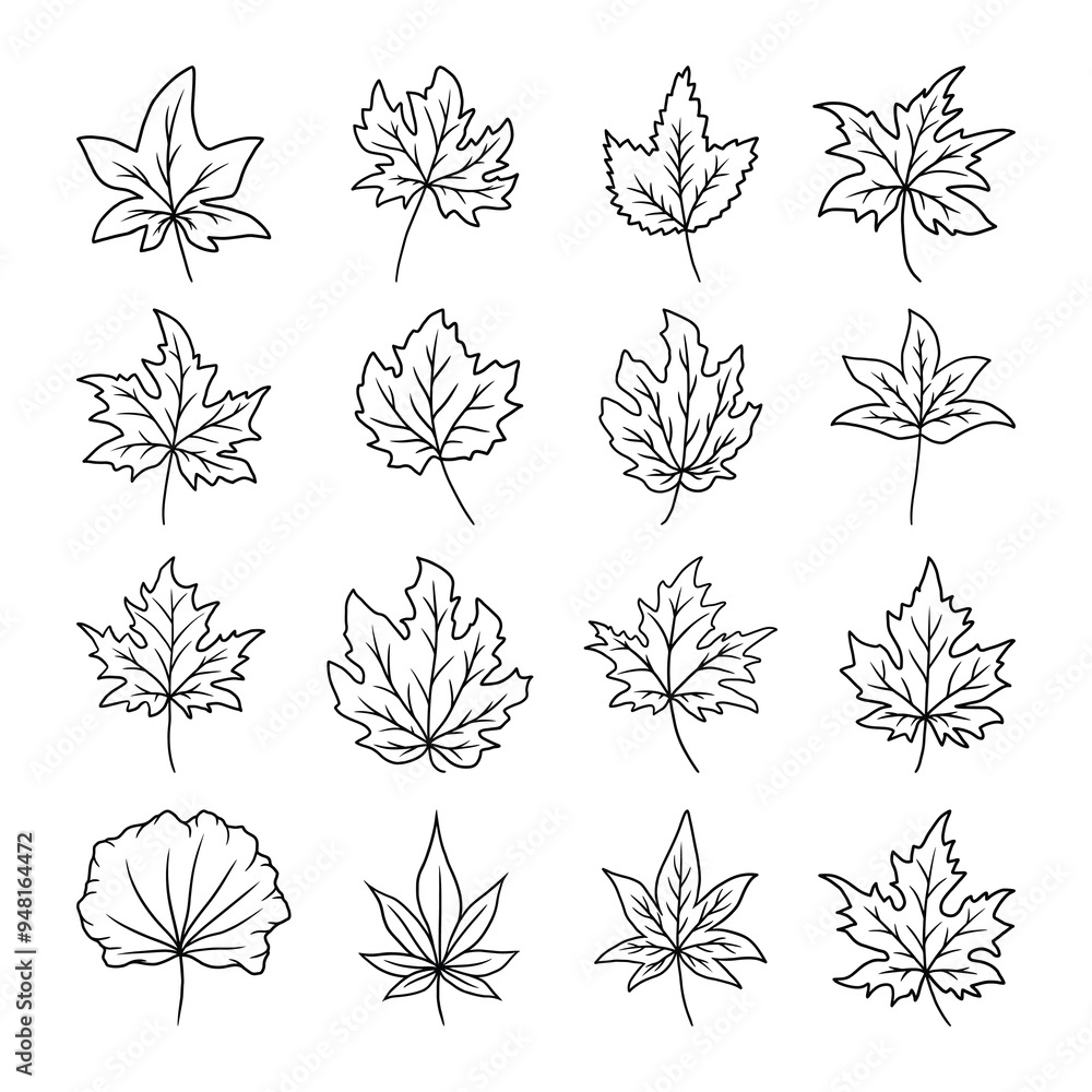set of autumn leaves vector set of autumn leaves vector