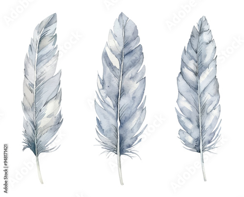 A set of watercolor bird feathers png. Gray and white silence of a feather on an isolated background. Elements for designs. Vector illustration