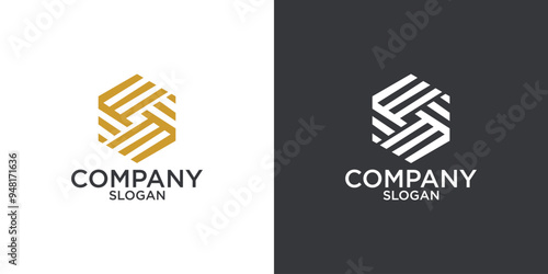 letter s abstract monogram logo vector design