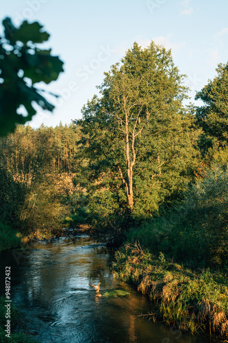 a river and lots of trees around