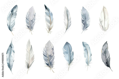 Set of watercolor white bird feathers png. White feathers on an isolated background. White watercolor bird feathers, elements for designs. Vector illustration