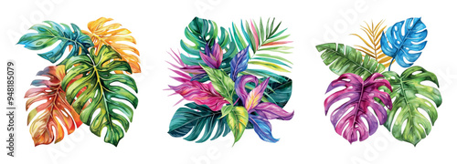 Watercolor colored tropical leaves png. Palm leaves, jungle leaves, monstera leaves, exotic botanical floral pattern. Vector illustration