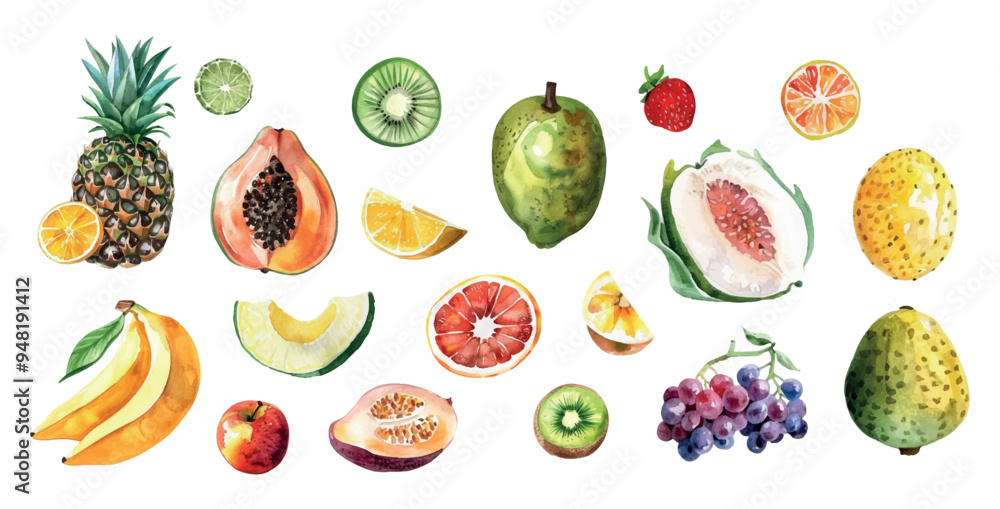 Watercolor tropical fruit collection png. Hand drawn fresh products design elements and transparent background. Vector illustration. Watercolor tropical fruit collection png. Hand drawn fresh products design elements and transparent background. Vector illustration.