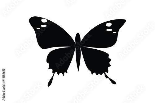 Silhouette Of A Butterfly