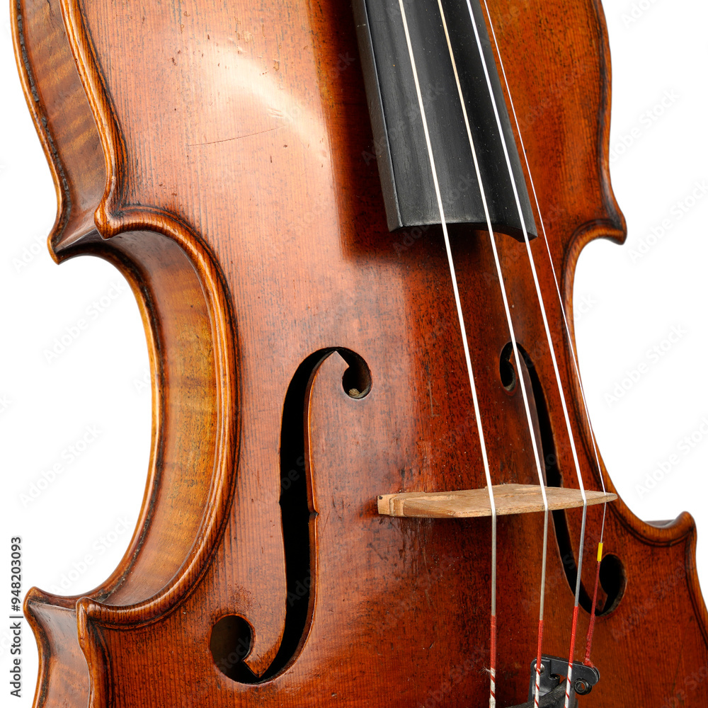 Old violin on a white background Old violin on a white background