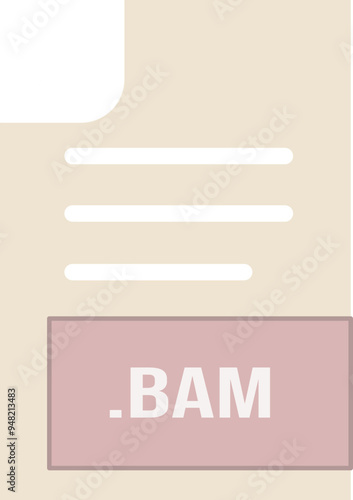 BAM File format icon outline and fill