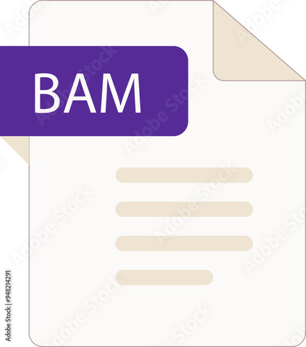 BAM File icon with folded style document