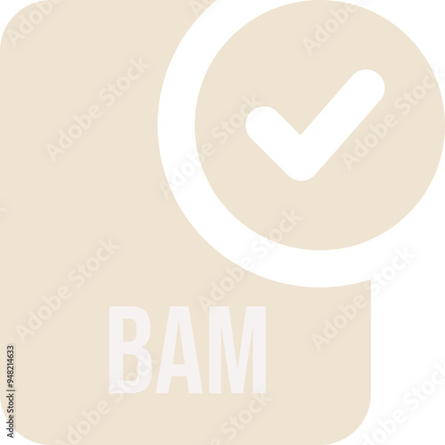 BAM ip file icon with black checked mark