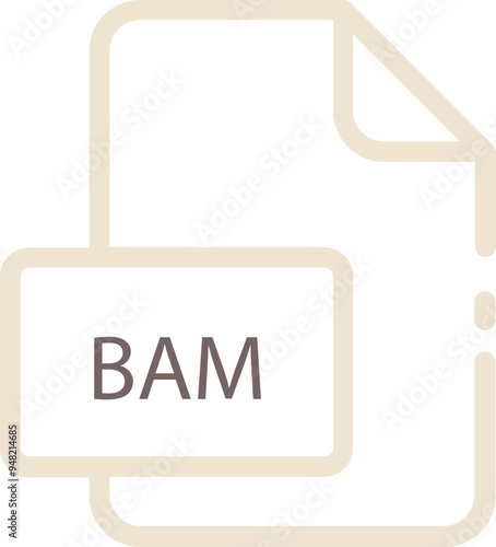 BAM ip file icon