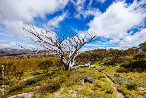 Porcupine Rocks Walk in Australia photo