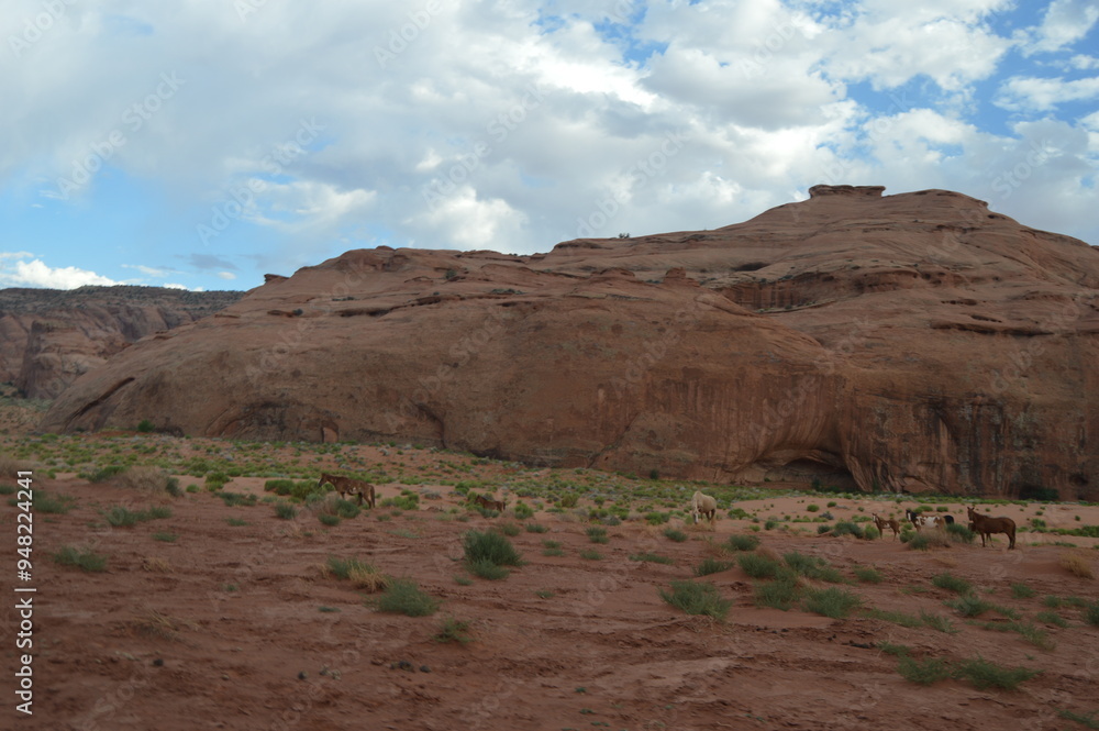 Orange rock formations in the summer at Monument Valley Navajo National Park, USA Orange rock formations in the summer at Monument Valley Navajo National Park, USA