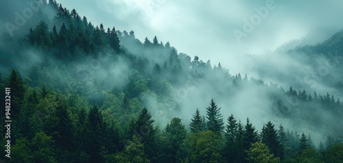 Fog rolling through a mountain pass, foggy weather, mysterious and silent