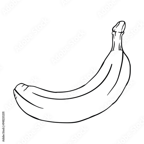 Hand drawing style of banana vector. It is suitable for fruits icon, sign or symbol.