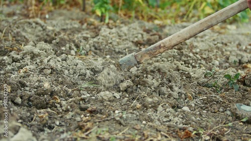 Wallpaper Mural Old peasant woman hoeing the soil in her garden Torontodigital.ca