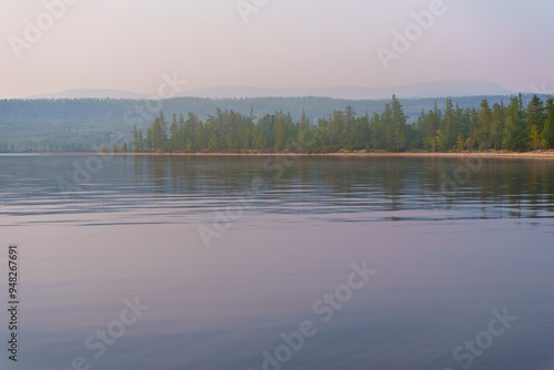 Sandy shoreline of a calm lake with pine forest