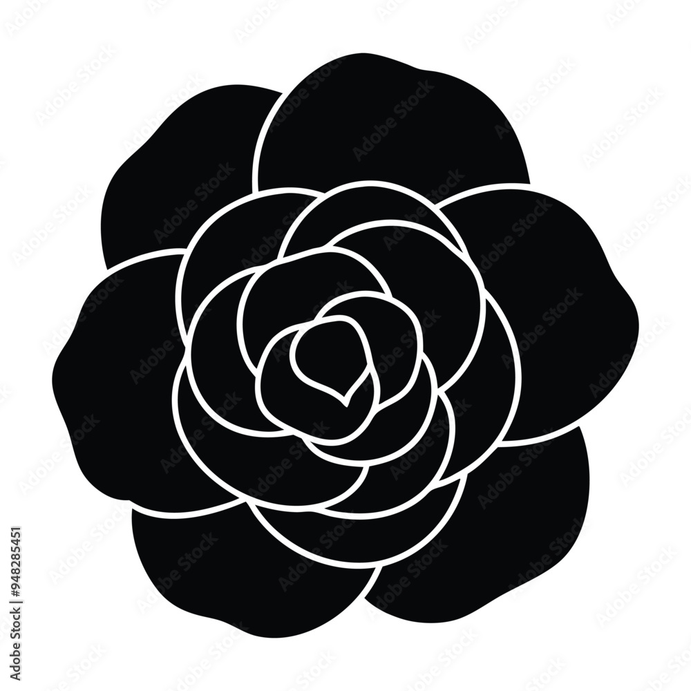 camellia flower vector illustration
camellia flower vector illustration