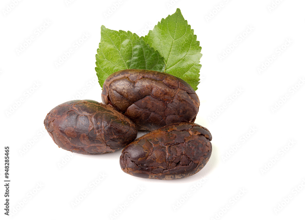 Obraz premium roasted cocoa beans. isolated on white background.