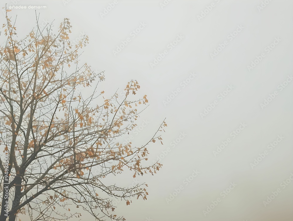 Foggy morning landscape with a bare tree and muted autumn leaves in an atmospheric setting Foggy morning landscape with a bare tree and muted autumn leaves in an atmospheric setting