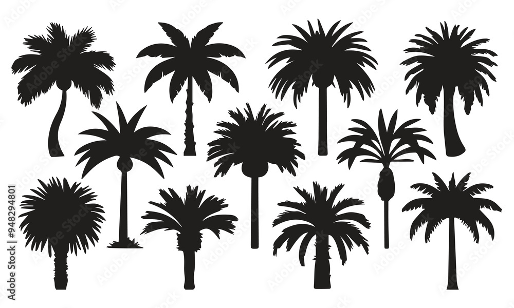 set of Tropical palm trees silhouettes vector set of Tropical palm trees silhouettes vector
