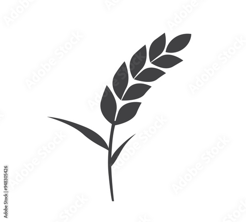 Rice icon. Wheats rye rice ears. barley field cereal nutritious. wheat grain. Vector illustration