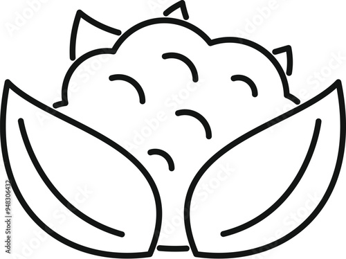 Simple icon of a cauliflower with leaves growing on a farm, ready to be harvested and turned into delicious food
