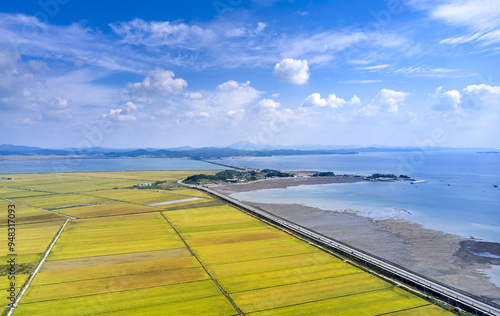 Aerial and autumnal view of golden rice paddy field for harvest with Ganworam Hermitage of Ganwoldo Island at Cheonsu Bay near Seosan-si, South Korea  photo