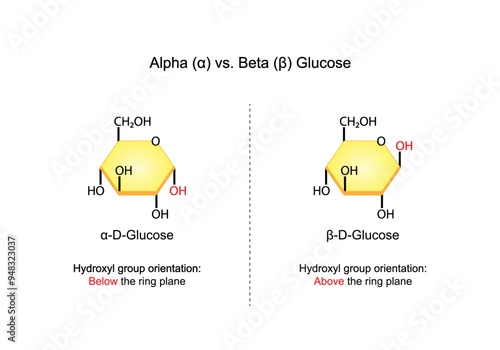 Alpha versus Beta Glucose. Stereoisomers. Chemical structure. Chemistry. scientific vector illustration.