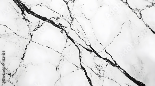 White Marble Texture with Black Veins.