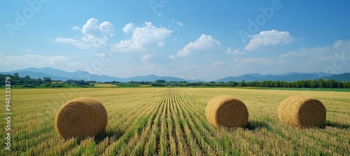 Hay on farm agriculture field. Generative AI technology.	
