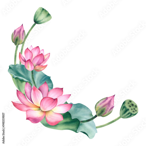 Watercolor pink lotuses on a white background. Water lilies are hand painted. A composition with a lotus. A template for the design of postcards. A bundle for the clipart of spa salons and zen design