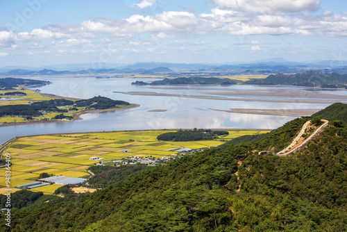 Aerial and autumnal view of Hangang River with golden rice paddy field before harvest and Munsusanseong Fortress against Kaepung County of North Korea in the background near Gimpo-si, South Korea 