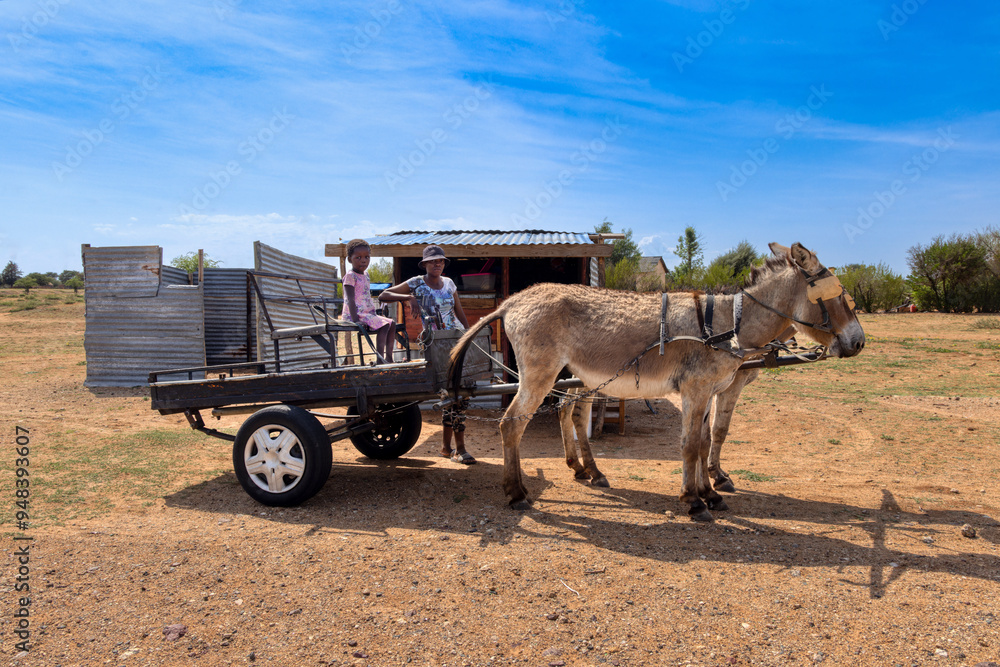 Obraz premium donkey cart, african mother and child next to tuck shop , in the village, spaza shop, street vendor small retailer in a shack selling snacks,