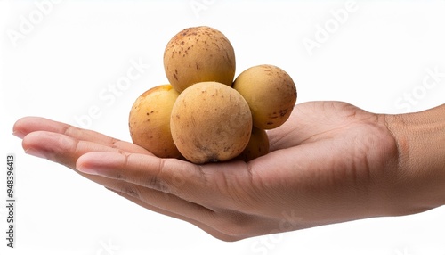 hand holding Wollongong fruit isolated on a white background. photo