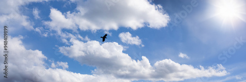 Silhouette of a raven in clouds on a blue sunny sky, photographic illustration, banner, background. Concept of freedom, news messenger, halloween, wisdom