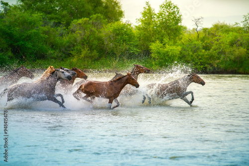 Heavenly horses galloping, the famous show in Zhaosu Wetland Park, Zhaosu county, Ili Kazakh Autonomous Prefecture, Xinjiang Uyghur Autonomous Region, China photo