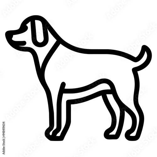 Loyal Dog Sitting Happily, Showcasing Its Affection and Playfulness
