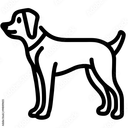 Loyal Dog Sitting Happily, Showcasing Its Affection and Playfulness