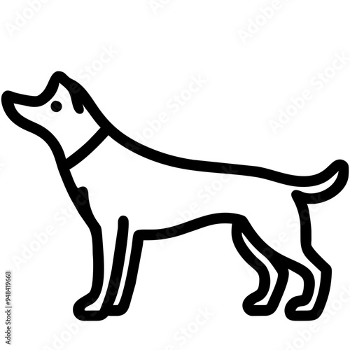 Loyal Dog Sitting Happily, Showcasing Its Affection and Playfulness