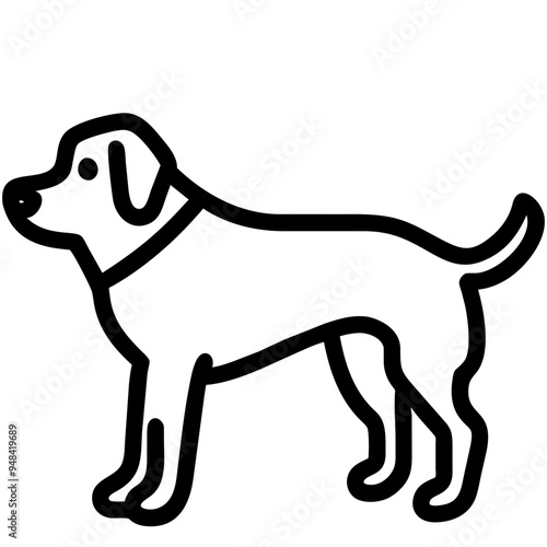 Loyal Dog Sitting Happily, Showcasing Its Affection and Playfulness